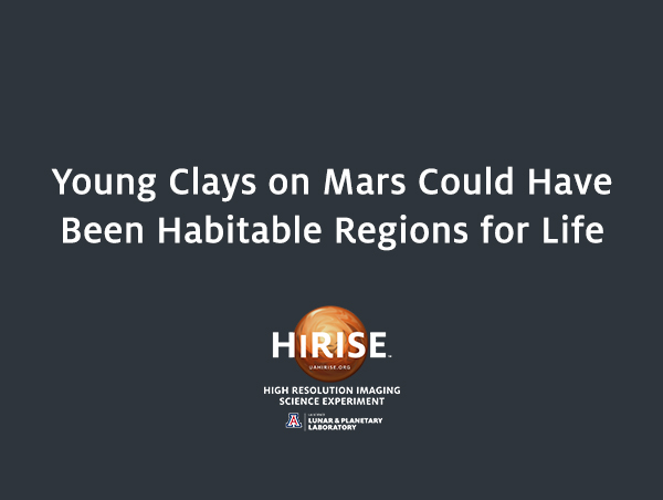 Young Clays on Mars Could Have Been Habitable Regions for Life