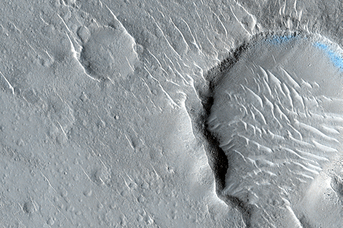 Joint Observation of the Isidis Basin with the Rosetta Mission
