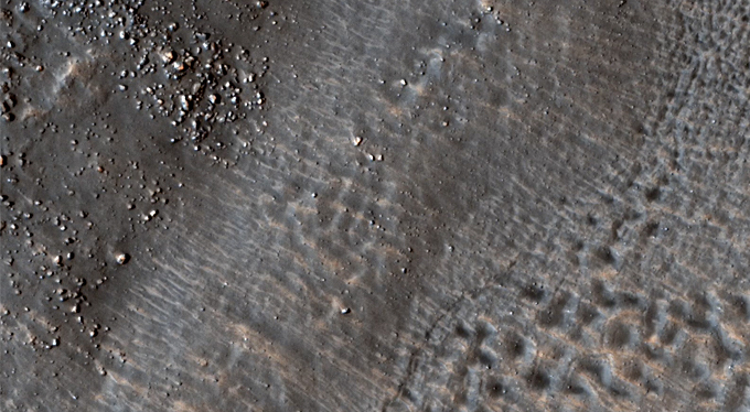 Thermophysical Contrasts in Utopia Planitia