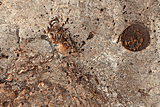 Future Exploration/Landing Sites