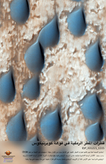 قطرات المطر الرملية في فوهة كوبرنيكوس
