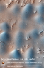Dunes cúpula i barcanes en el cràter Newton
