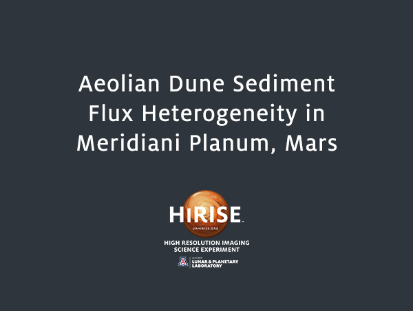 Aeolian Dune Sediment Flux Heterogeneity in Meridiani Planum, Mars