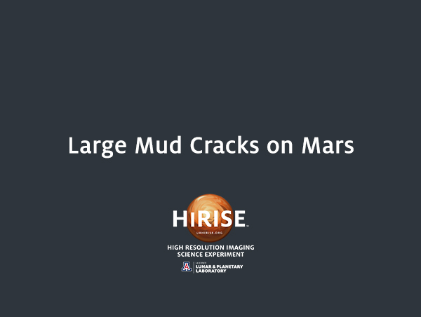 Large Mud Cracks on Mars
