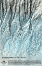 Nueva barranquera en Terra Sirenum