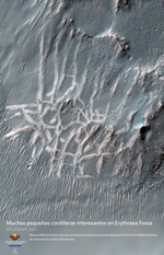 Muchas pequeas cordilleras interesantes en Erythraea Fossa