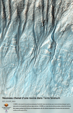 Nouveau chenal dune ravine dans Terra Sirenum