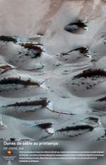 Dunes de sable au printemps