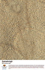 Steinahringir