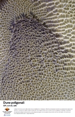 Dune poligonali