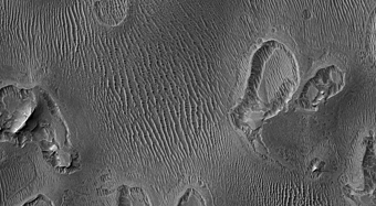 Patterned Ground in Noctis Labyrinthus