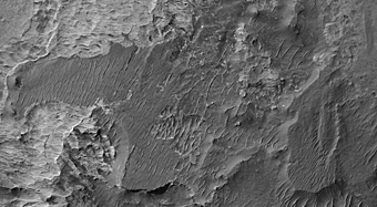 Ius Chasma