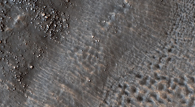 Thermophysical Contrasts in Utopia Planitia