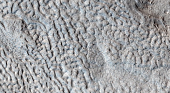 Ridges and Grooves That Wave and Buckle on a Valley Floor