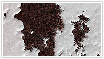 Schemi poligonali sulla superficie del Polo Sud