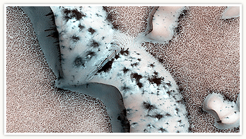 Shapes and Spots on a Polar Sand Dune
