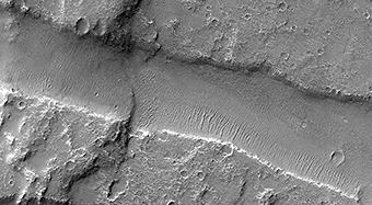 Finding Faults in Melas Chasma