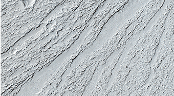 Chevrons on a Flow Surface in Marte Vallis