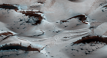 Dunes de sable au printemps