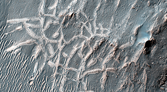 Many Small Interesting Ridges in Erythraea Fossa