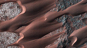 The Active Dunes of Nili Patera