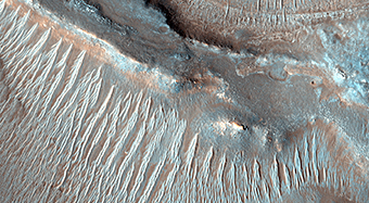 Braided TARs in Syrtis Major