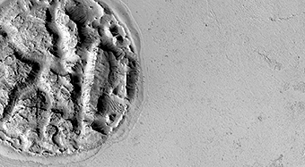 An Enigmatic Feature in Athabasca Lava Flows