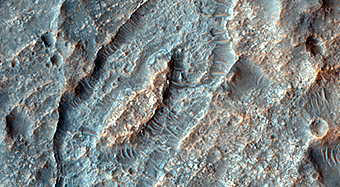 Inverted Ridges in the Eridania Basin