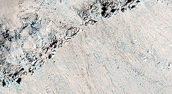 Seasonal Flows in Asimov Crater
