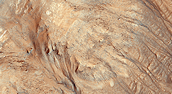 Warm-Season Flows in Cold-Season Ravines