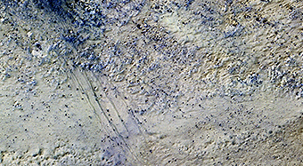 Potential Active Processes in Porter Crater 
