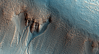 Gullies on the Wall of an Unnamed Crater in Utopia Planitia