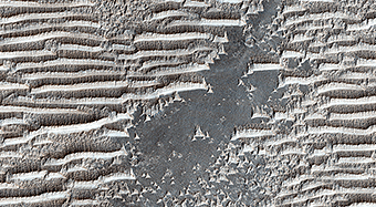Bizarre TARs