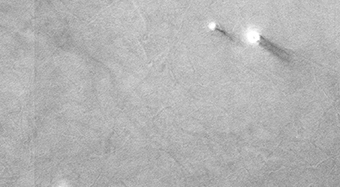 Marching Dust Devils