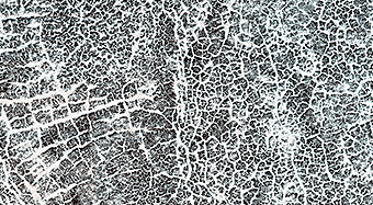 A Frost Enhanced Landscape