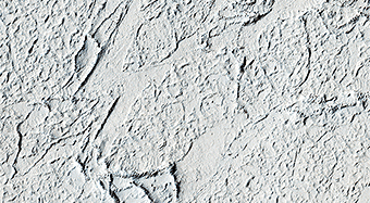 Flood Lavas and Mass Extinctions