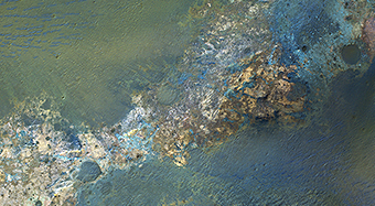 Colorful Bedrock in the Central Uplift of an Impact Crater