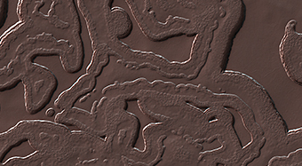 The Coolest Landscape on Mars (or Earth)