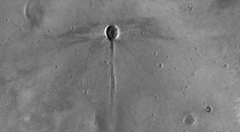A Dragonfly-Shaped Crater