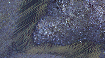 Seasonal Flows on Warm Slopes