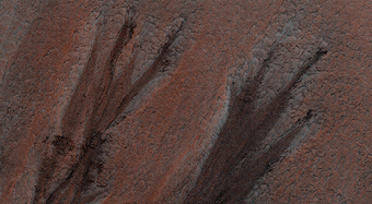 Gullies in Winter Shadow