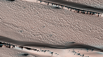 Defrosting Dunes within Chasma Boreale