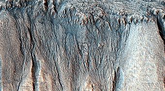 The Evolution of Gully Features in Acidalia Planitia