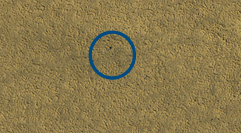 The Phoenix Landing Site, 5 Mars Years Later