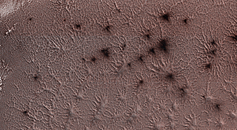 Jamming with the “Spiders” from Mars