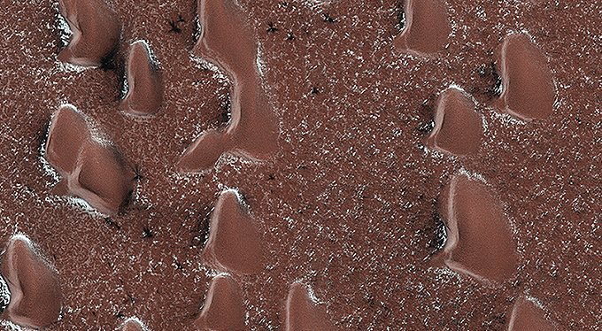 Spring Sprouts on Mars