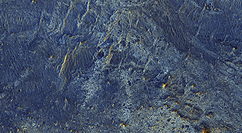 A Human Bird’s Eye View of Mars