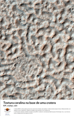 Textura coralina na base de uma cratera