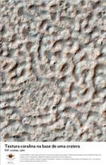 Textura coralina na base de uma cratera
