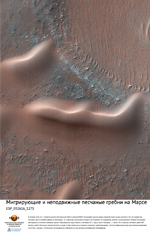 Мигрирующие и неподвижные песчаные гребни на Марсе